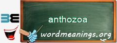 WordMeaning blackboard for anthozoa